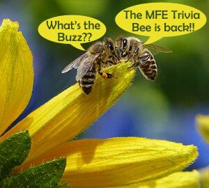MFE Trivia Bee